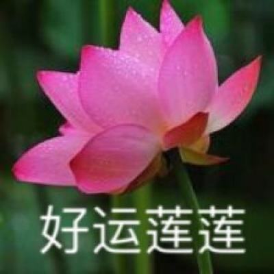 台湾民众集会痛批民进党当局欺骗民意